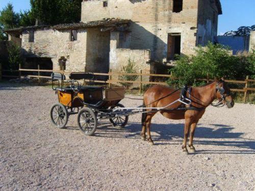Готель Assisi Garden Екстер'єр фото