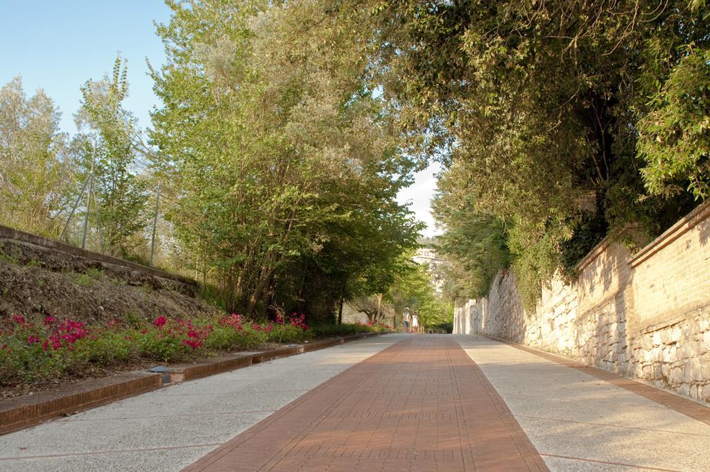 Готель Assisi Garden Екстер'єр фото