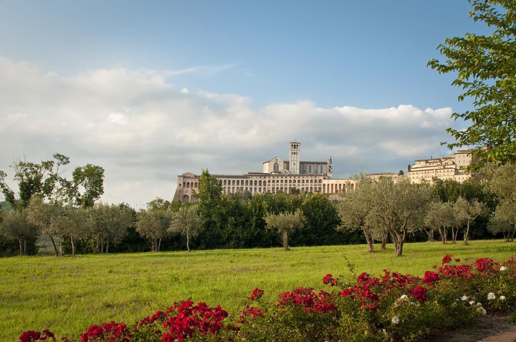 Готель Assisi Garden Екстер'єр фото