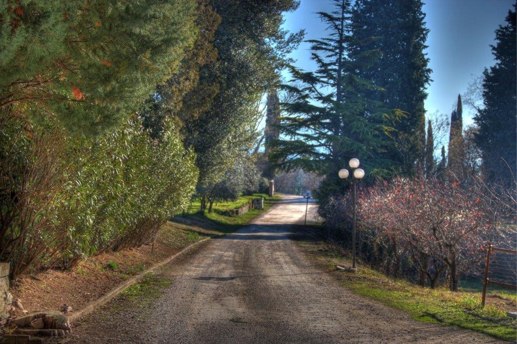 Готель Assisi Garden Екстер'єр фото
