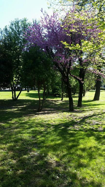 Готель Assisi Garden Екстер'єр фото
